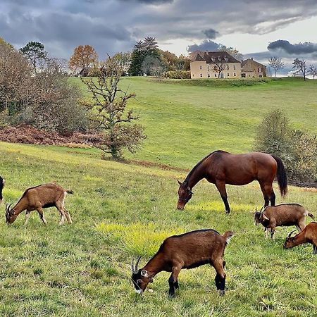 Willa Domaine De Cazal - Gite 2 Pers Avec Piscine Au Coeur De 26 Hectares De Nature Preservee Saint-Cyprien  Zewnętrze zdjęcie